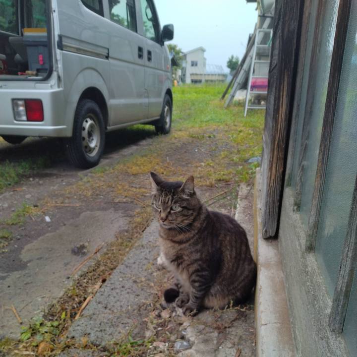 188691fc d31c 43b1 928a 1dd8d37207dc 1688766894321