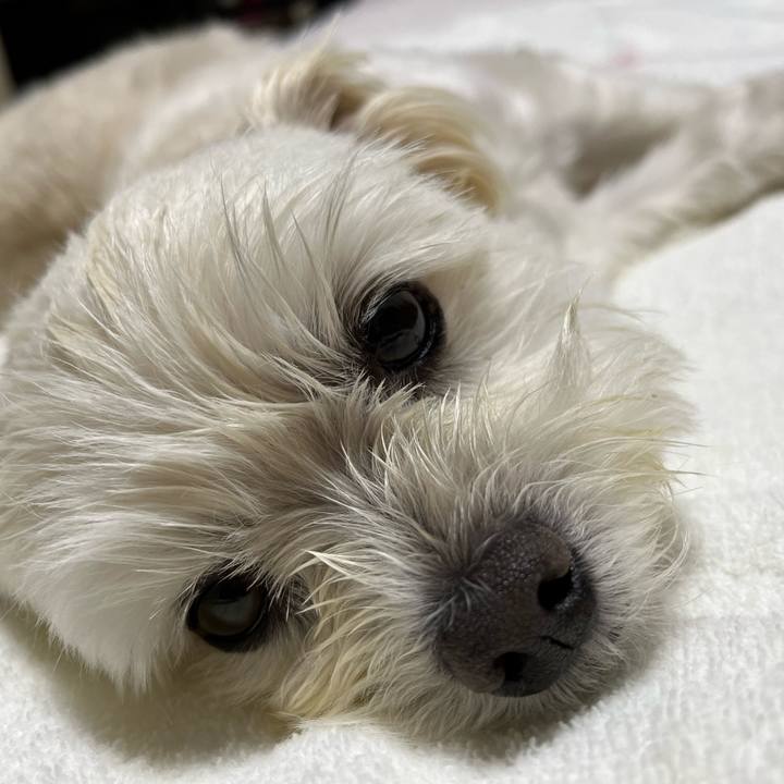 18869bea 7356 46a3 8406 4ecbe2fb7803 1654346376003