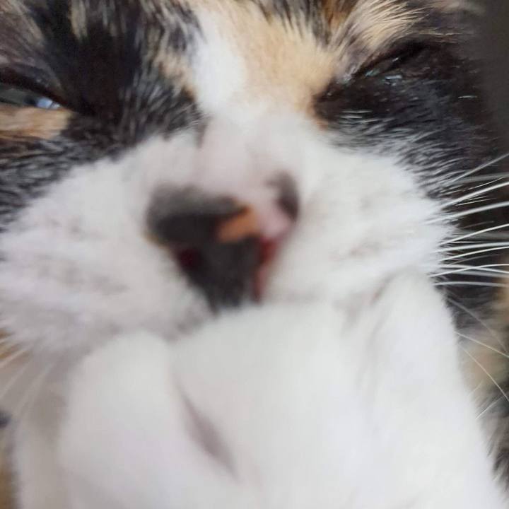 1886a10a 5679 458c 8a1b 9c45b702bb08 1686458877327