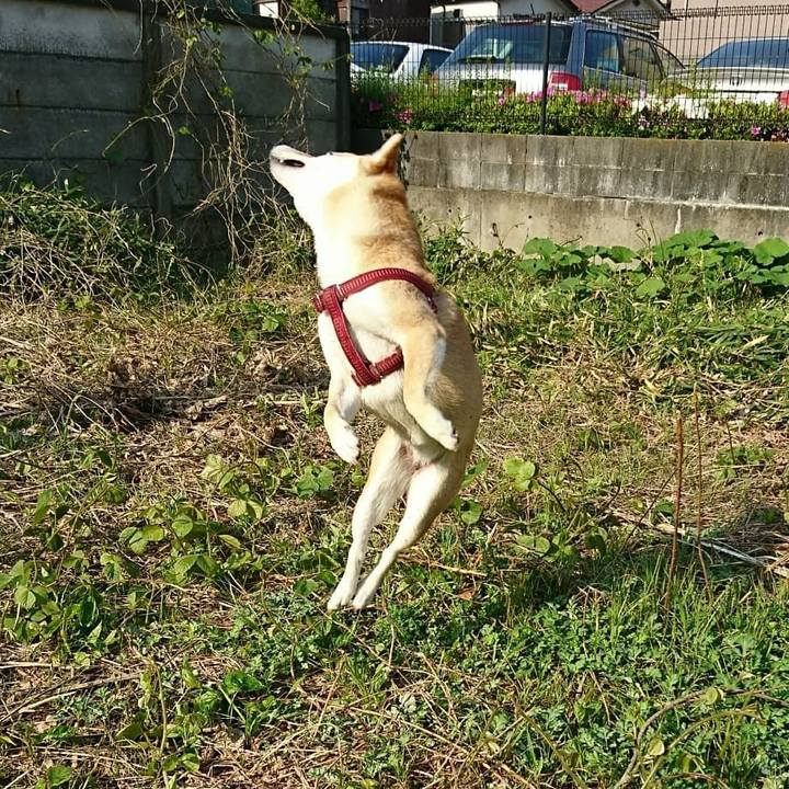 188714f5 bdb9 47d7 8517 5b5c05b6e4d7 1524353474358