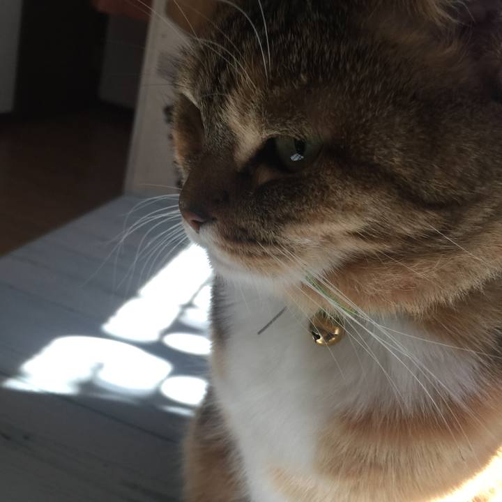 18871ef8 9813 4c66 b401 5eff12693427 1547603063959