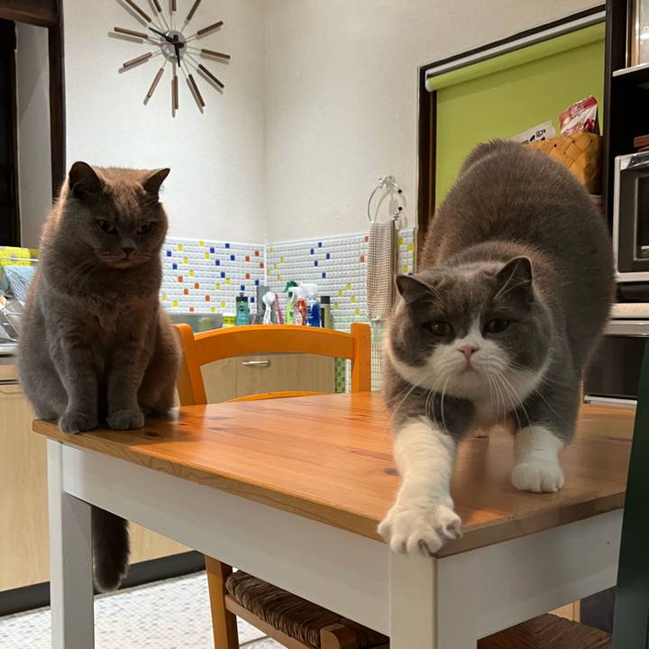 188735ea 336e 461d 9484 bcac33c0faee 1637570966166