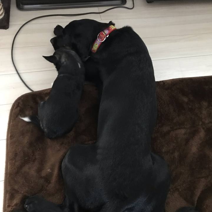 18873f9b 9f4e 4333 a55b e9dc7853cb1c 1542667295784