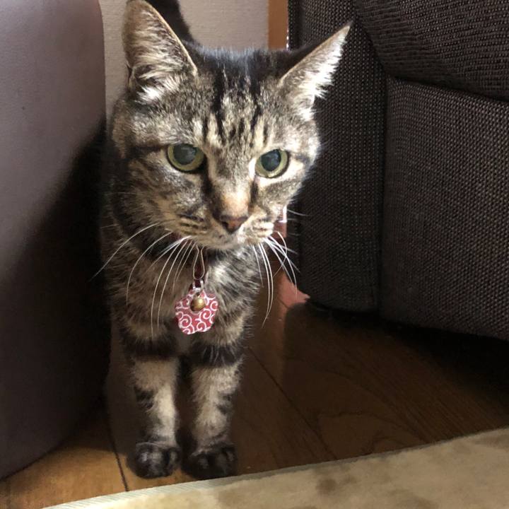 18875d48 c168 4873 9f65 787cdaf051c8 1578099853185