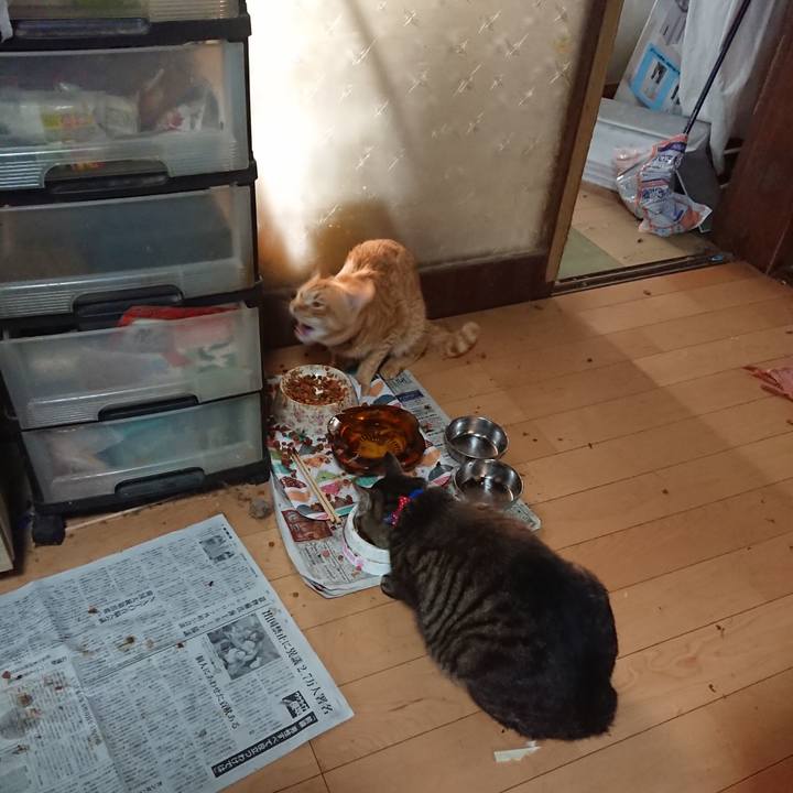 188784ad a589 4989 b1b3 ffda8ff69fa0 1656108368333