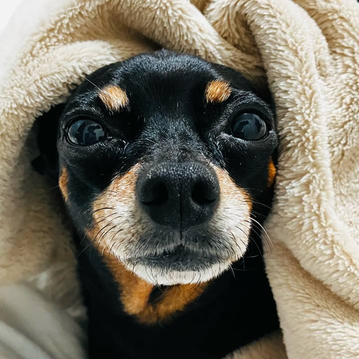 1887bc0d 1689 4972 a427 e4a45c83aaa2 1762728008880