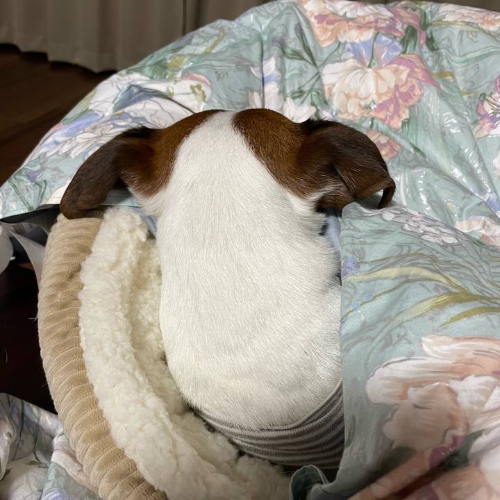 1887cba8 1b48 42fe bfbf 3f70e07bd29c 1645705543185