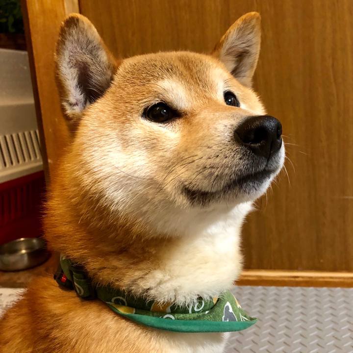 1887dfc4 30a8 44be ac91 213c328785e0 1526180565920