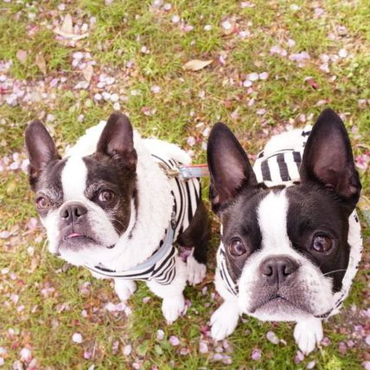 1887f6b1 1dd8 4869 9cd4 de84d43aaef2 1522885933598