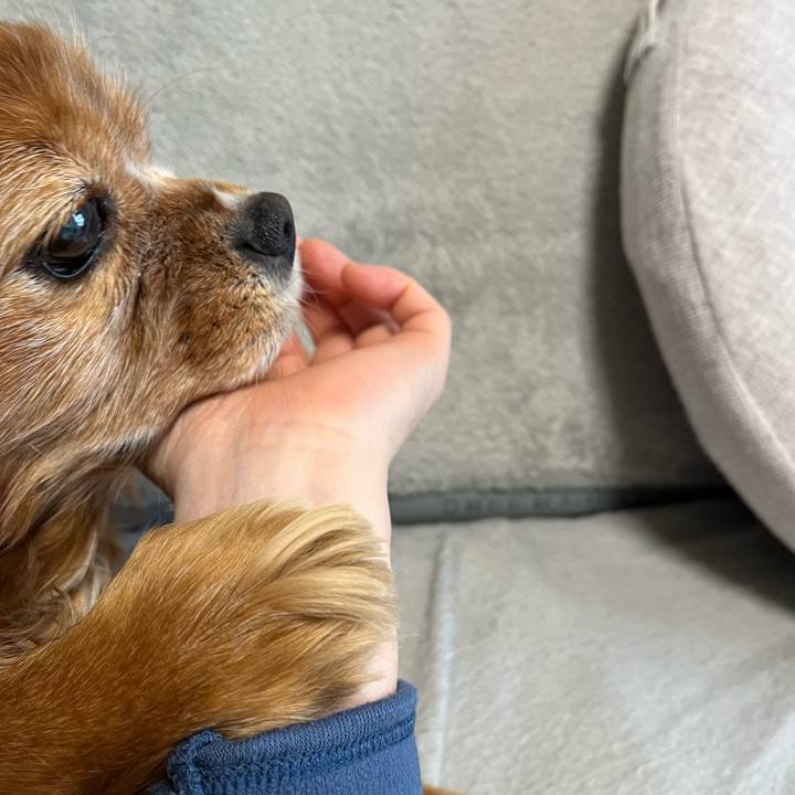 18880067 3577 485d 86d0 b822e7e3e5eb 1739399220448