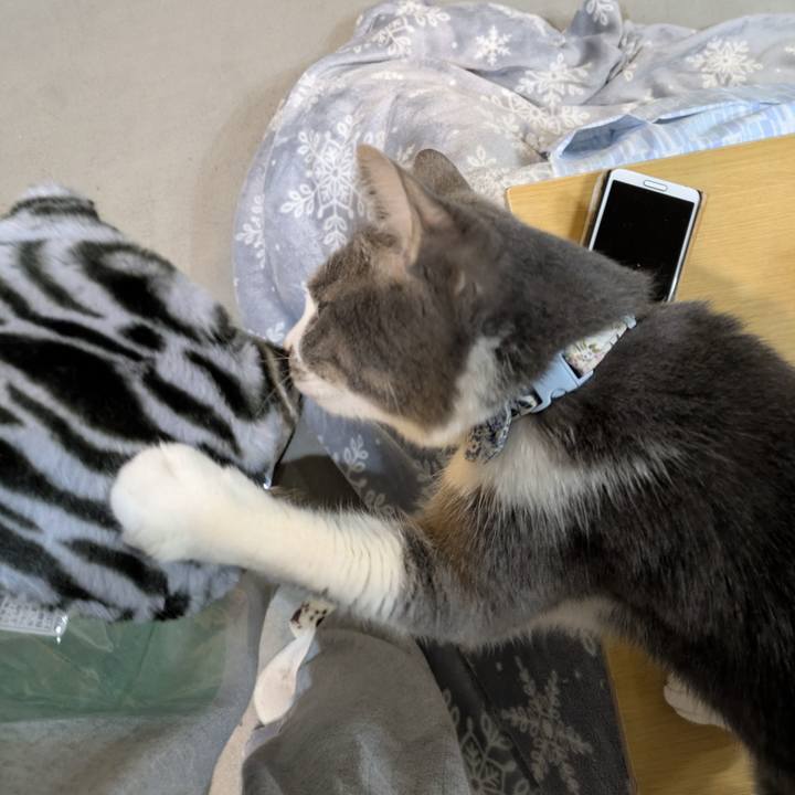 18880470 7bff 4fef 9cb4 6076e846a218 1768052610913