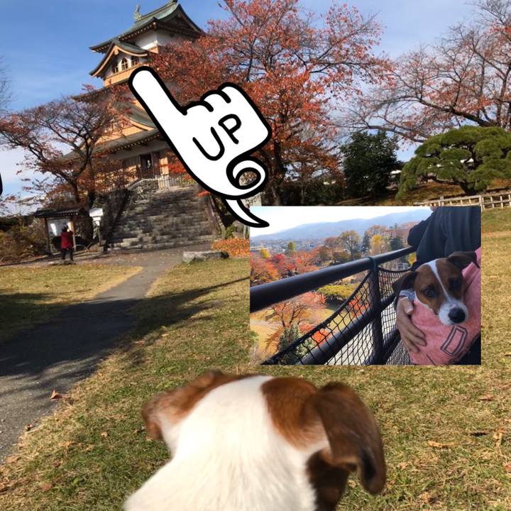 18881f2f 5376 408e b0a3 be003cefc7ef 1574078137230