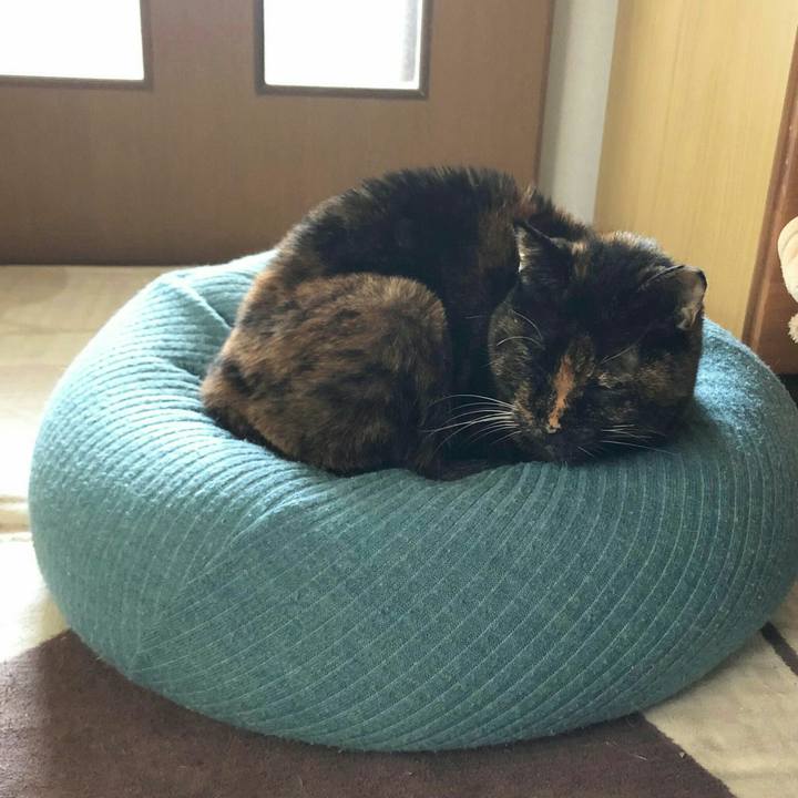 188831ab 37f8 409e 8acd 682be6c41355 1635740460914