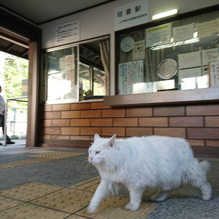 18885c19 a3dd 4262 9140 a3ad38dd9d29 1562711046724