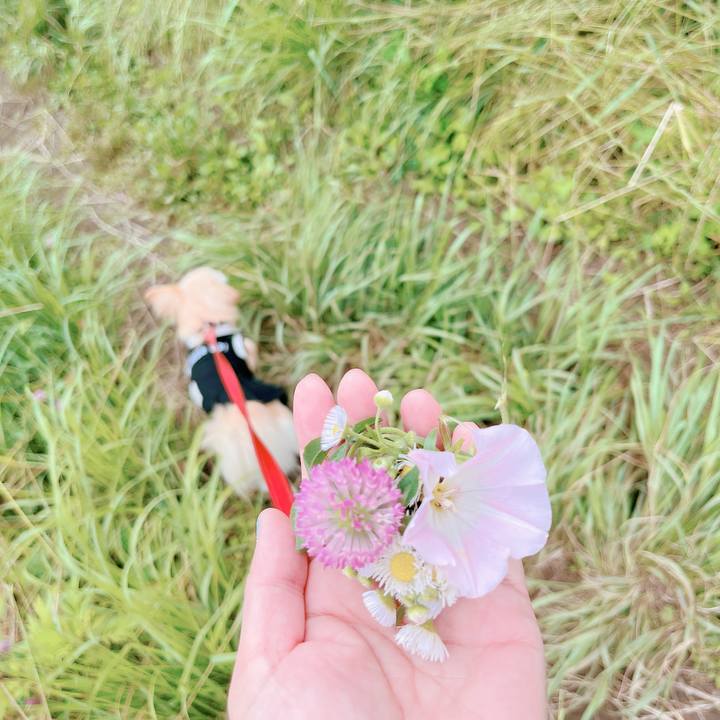 1888707e 0bb8 460a 8e17 e7184008f819 1654672903997