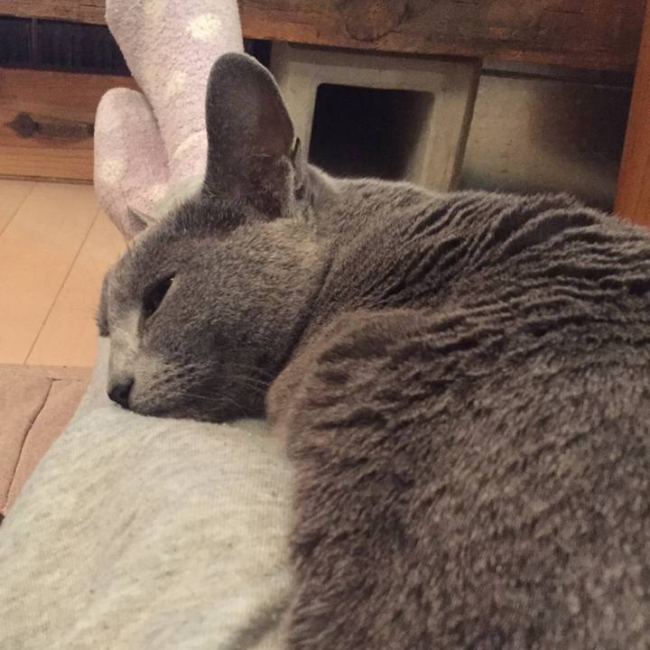 1888957d 5905 469d b109 12d5f555eda1 1515327774874