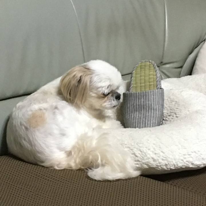 1888ab4d 1411 4f52 a39c 55c3a3944d9c 1592746930208