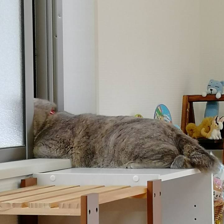 1888b4c1 f4cd 4fbe b607 76bd7ed073f1 1536720115247