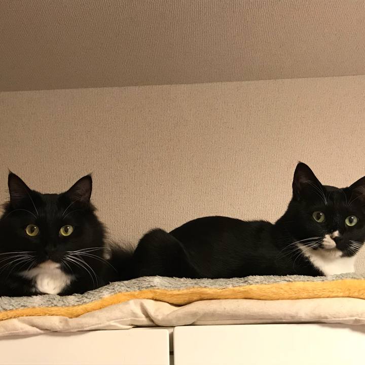 1888c0af a673 47a7 a048 2d271f69eac9 1518737638015