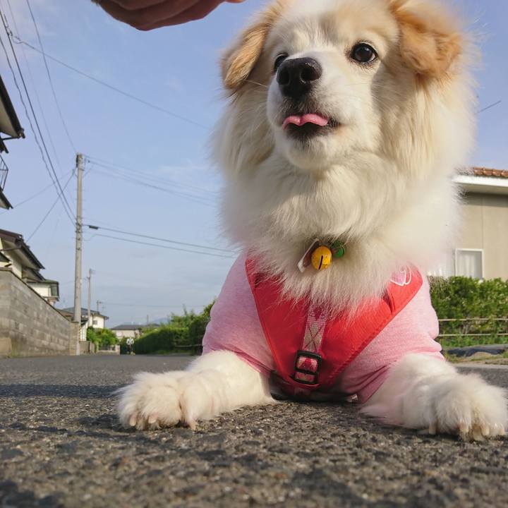 1888c0ec 3777 43cb a262 ccfc364bd137 1528448316010