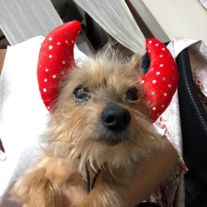 1888d6fc 0ee6 4aab 8e15 18bcb5d61e6a 1509456556917