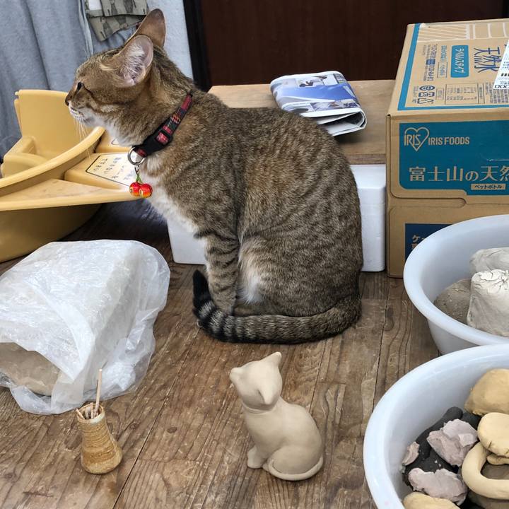 1888e6d4 3287 450c 9c8b 99eec573a3ca 1655105878645