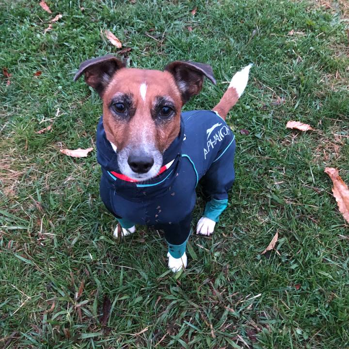 188917e8 4f67 4dcd 9b16 a02873e2c333 1544568233607