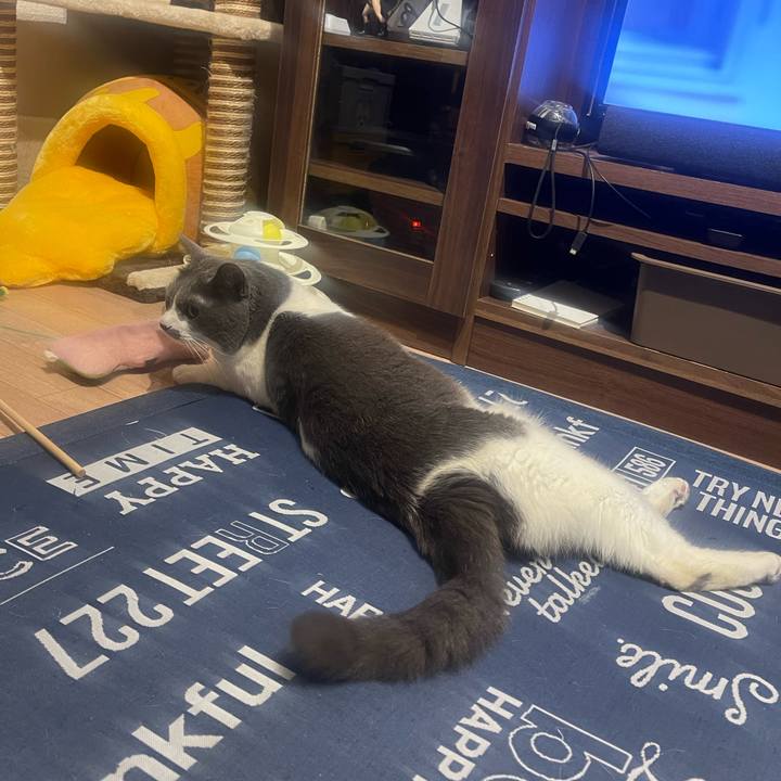 188927de 2e31 4432 b1d9 5cadf07bf095 1712246296723