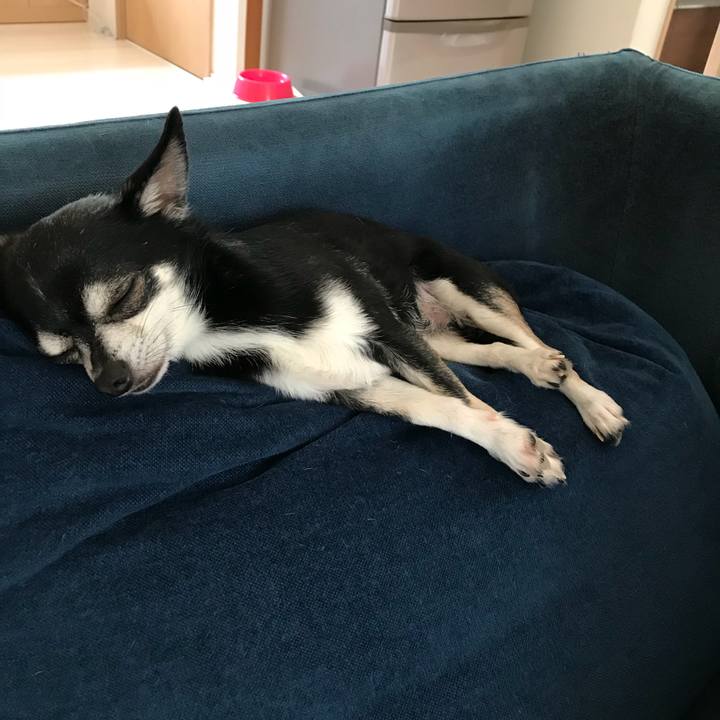 18894564 0ab8 46a8 a932 ab25bf9b7911 1528548953623