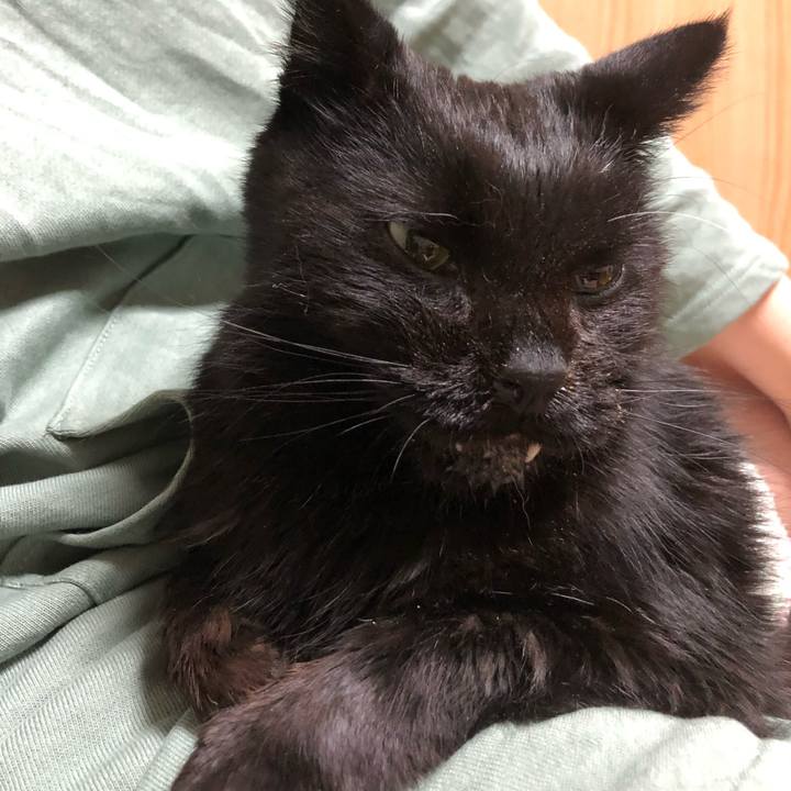 1889843f 2aea 424a 905f ed5e1dac28d9 1646230385335