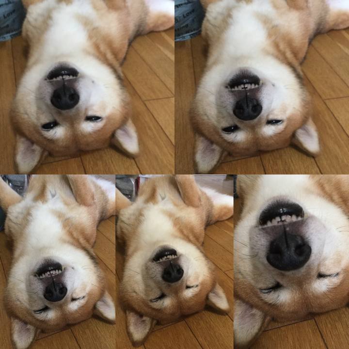 18898994 beac 46cd bfbd 23cb00355671 1597469944217