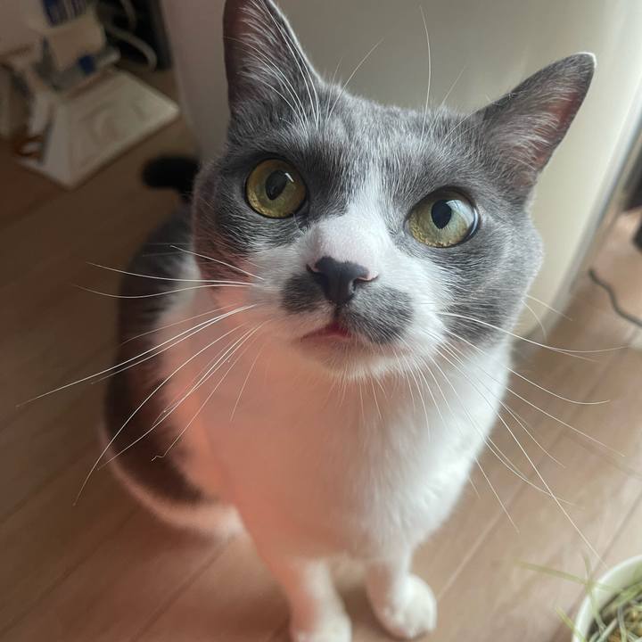 1889b1f6 5d7d 4c95 97e4 53635bbceabf 1749948557196