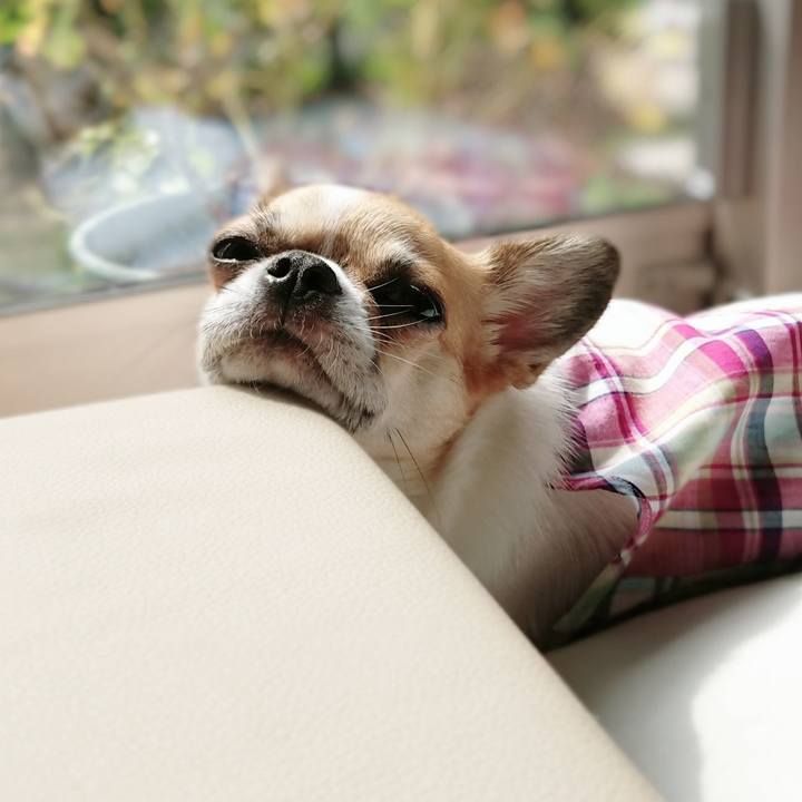 1889b848 5375 43ee b993 ffb6f15b2700 1600300140808