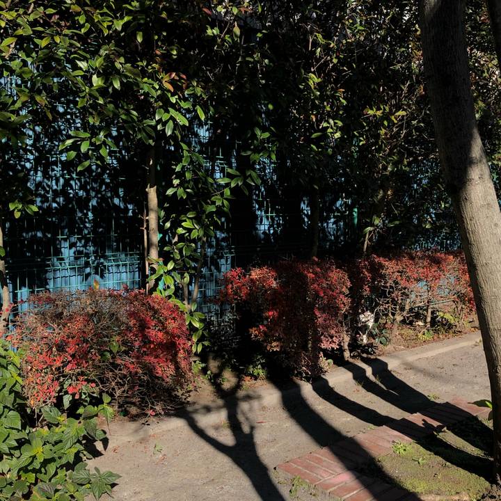 1889d90c 7142 4387 bbe1 a63532aaf1d4 1609363175412