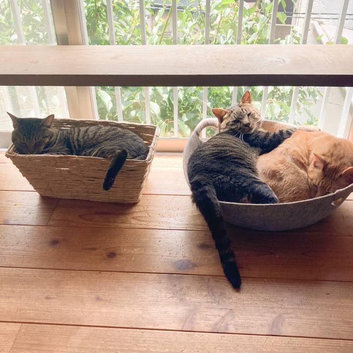 1889dcff 30ae 416f 9ce8 ff8f5301d58e 1751857440279