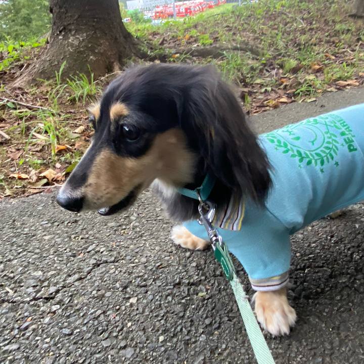 1889f3ab 3c9b 468d 8d12 3593bfb7167d 1727389326573