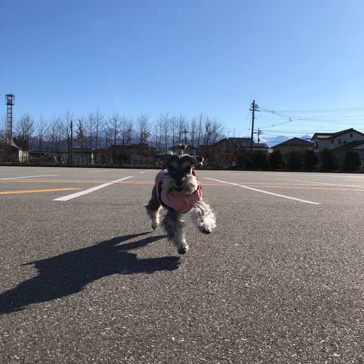 1889fd5d 3cbd 436e 8233 6f3f968a9814 1577612279313