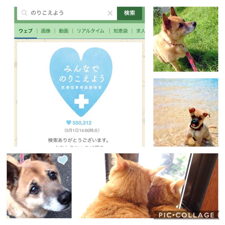 188a27a4 344a 4d6b b259 8c90e953fc97 1588309656171