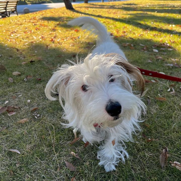 188ab345 26b5 4bb3 8f5d aafef7208846 1735655928855