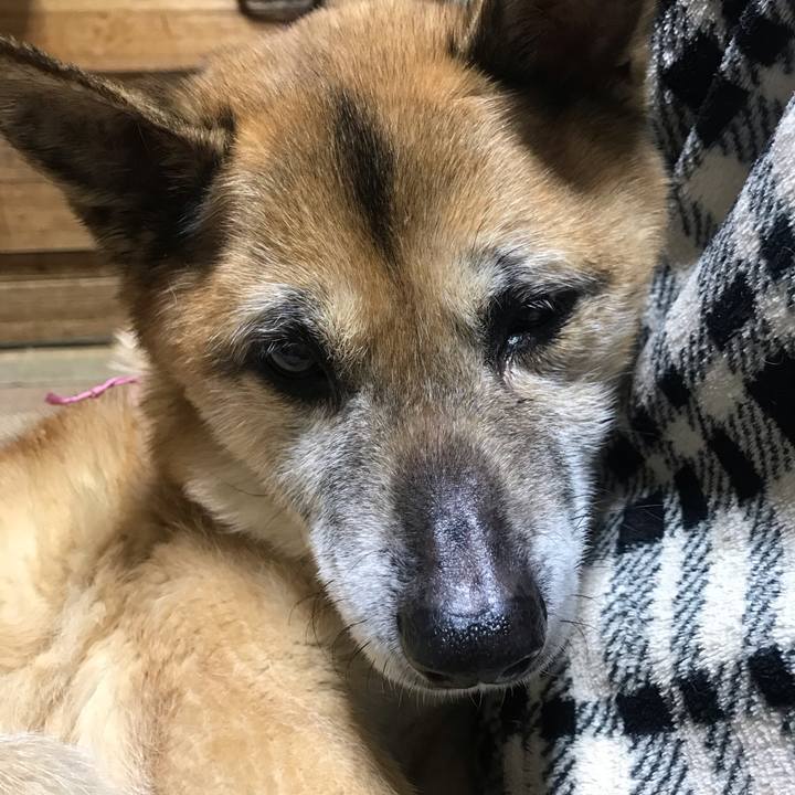 188ac6c1 d968 4c87 9e3a 80d95e1ce775 1555019009439