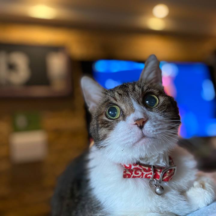 188ad230 71a2 471e a041 c8782794e09d 1599951634617