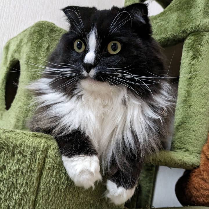 188aeed5 ec9b 480a 8b85 3a04b7d8e157 1681283763749