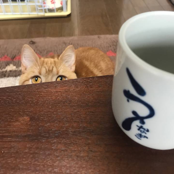 188af699 f186 4888 9b5e d741d38cebbb 1522888695656