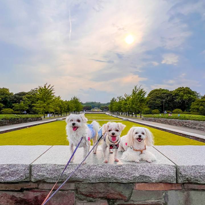 188af9d8 fdb6 43cb a439 d247d3a5983a 1687792957486