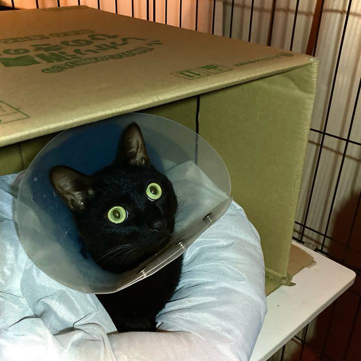 188b0c79 3b74 42c1 8db7 6ce91fb50e9a 1707469584671