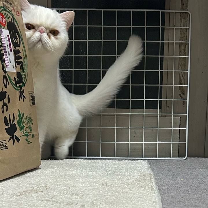 188b2928 2133 4854 9714 c60824ed6300 1735305205303