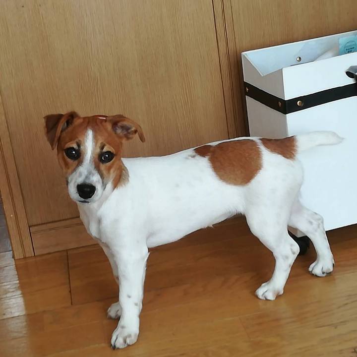 188b727c 79bd 465b b91d 1a4920f29e8c 1554535569350