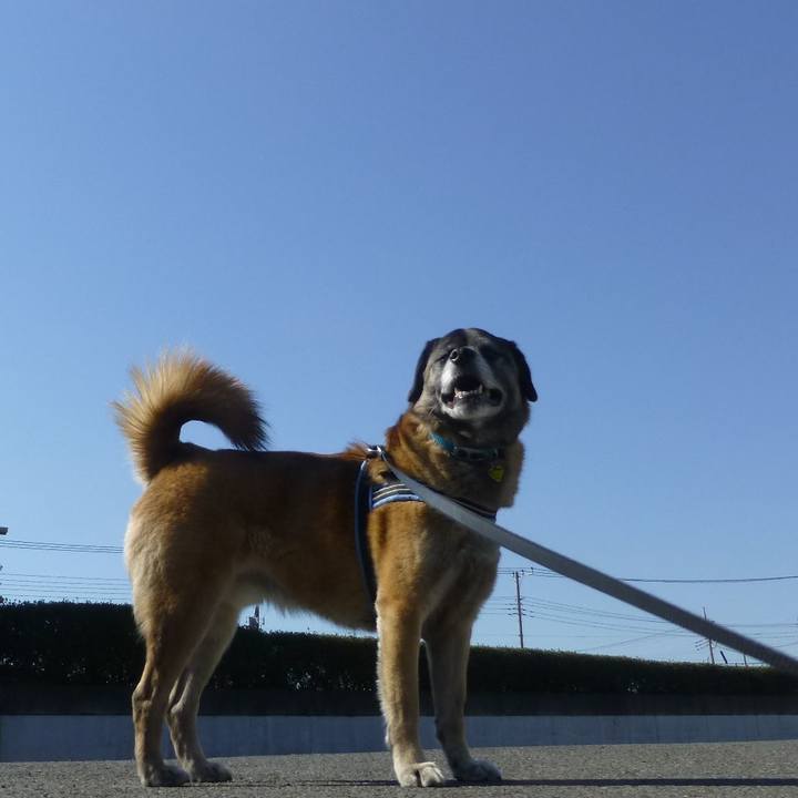 188b7982 15f0 4460 a15e a6ffb40e900e 1579568593313