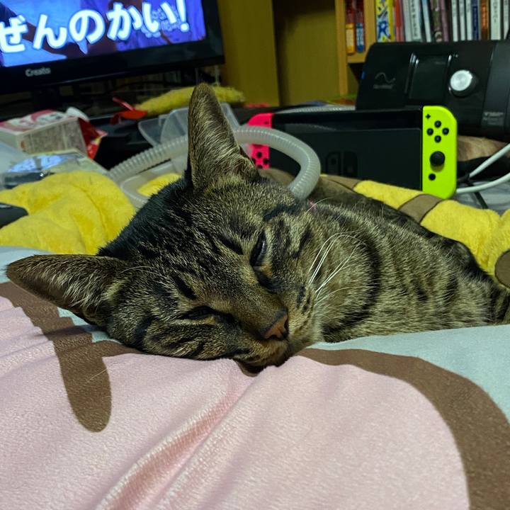 188b7adb 8cd7 473b ade9 030d3a7c5257 1618579721790