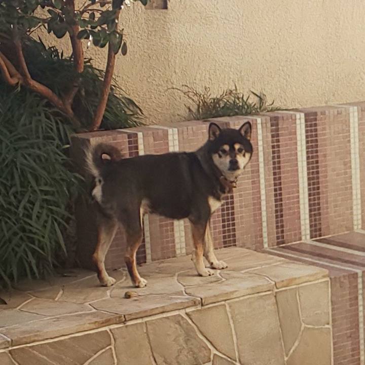 188bd5a4 ca79 4b47 a269 f1698f01169d 1544486997536